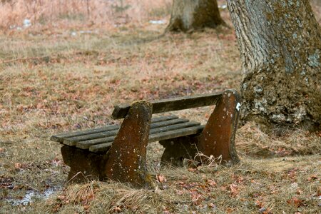 Autumn glade rest