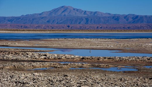 Socaire desert chile