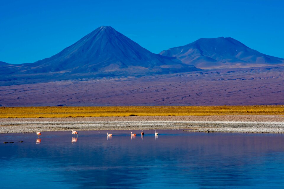 Socaire desert chile