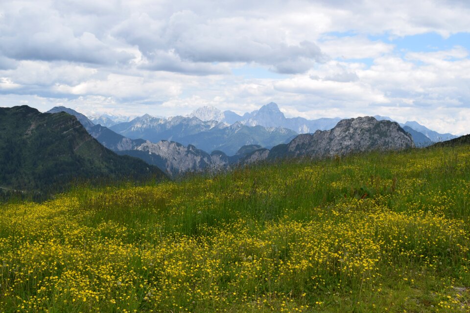 Panorama summer scenic