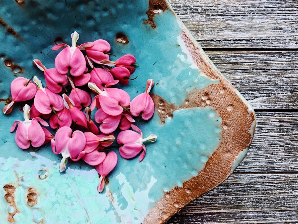 Spring floral garden