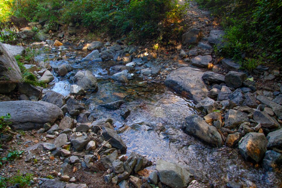 Nature creek water