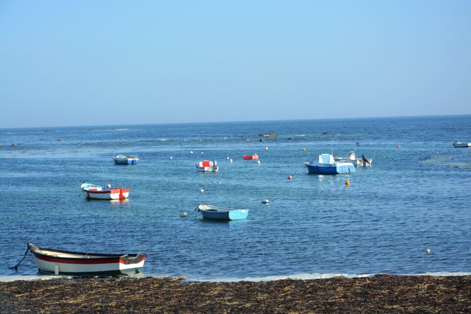 Sea water blue blue sky browse