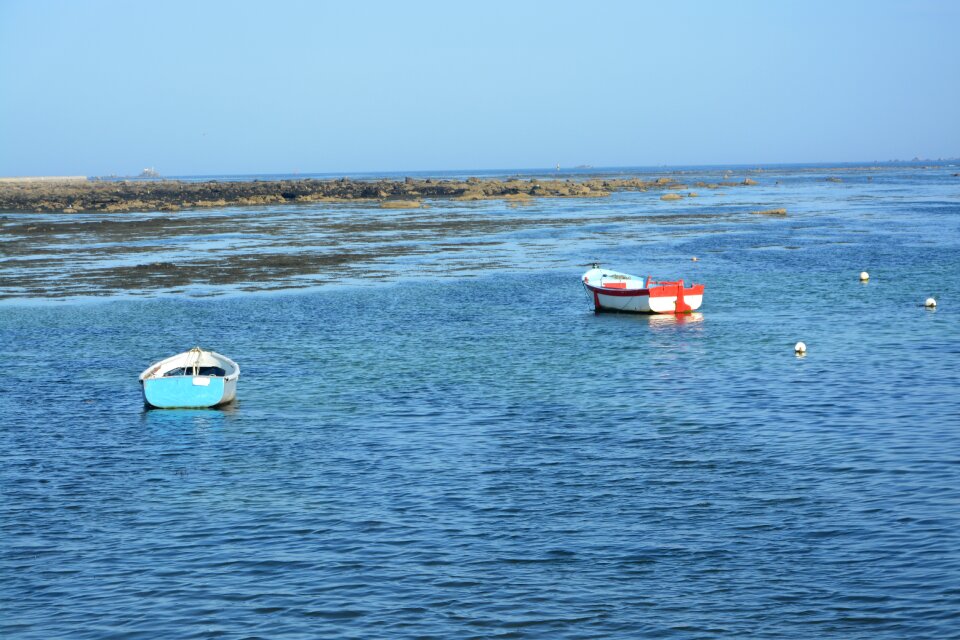 Blue water blue sky browse