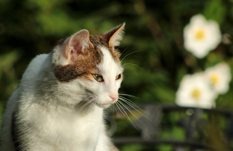 Portrait sun relaxed