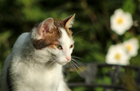 Portrait sun relaxed