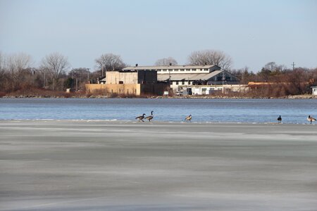Frozen saginaw river michigan river