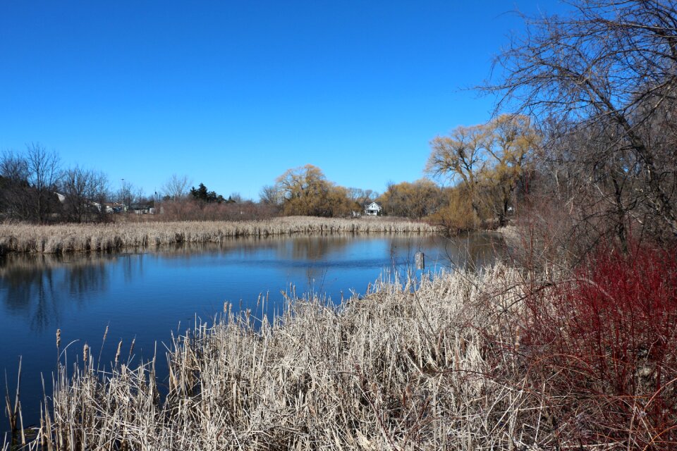 Pond lake scene beautiful pond