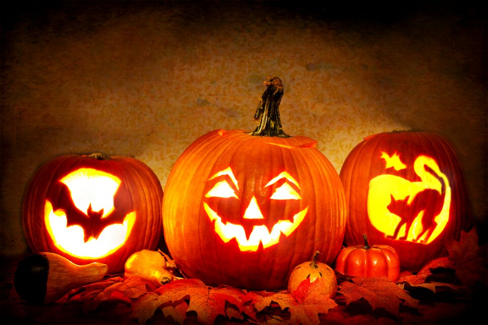Carved pumpkins halloween orange