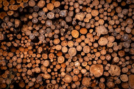 Firewood wood stack photo