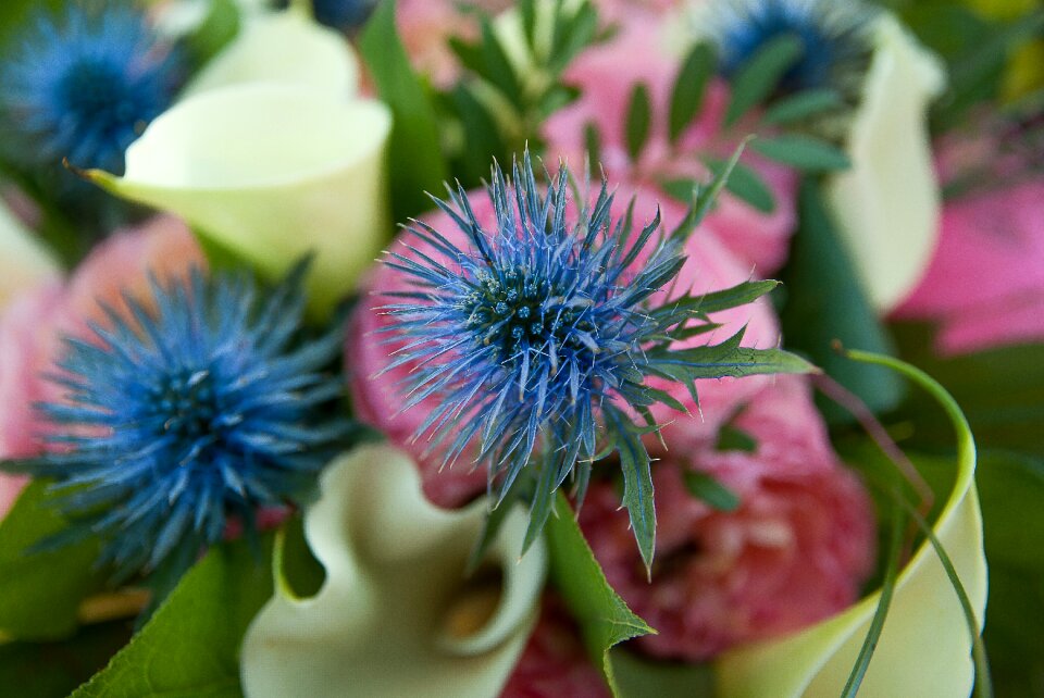 Thistles lys bouquet