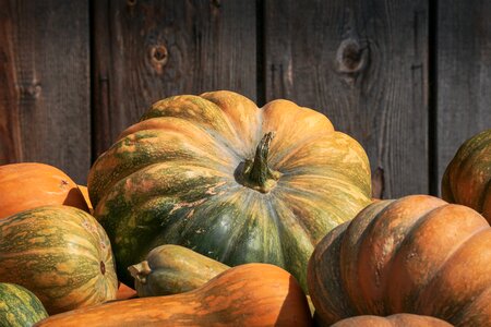 Orange decoration harvest photo