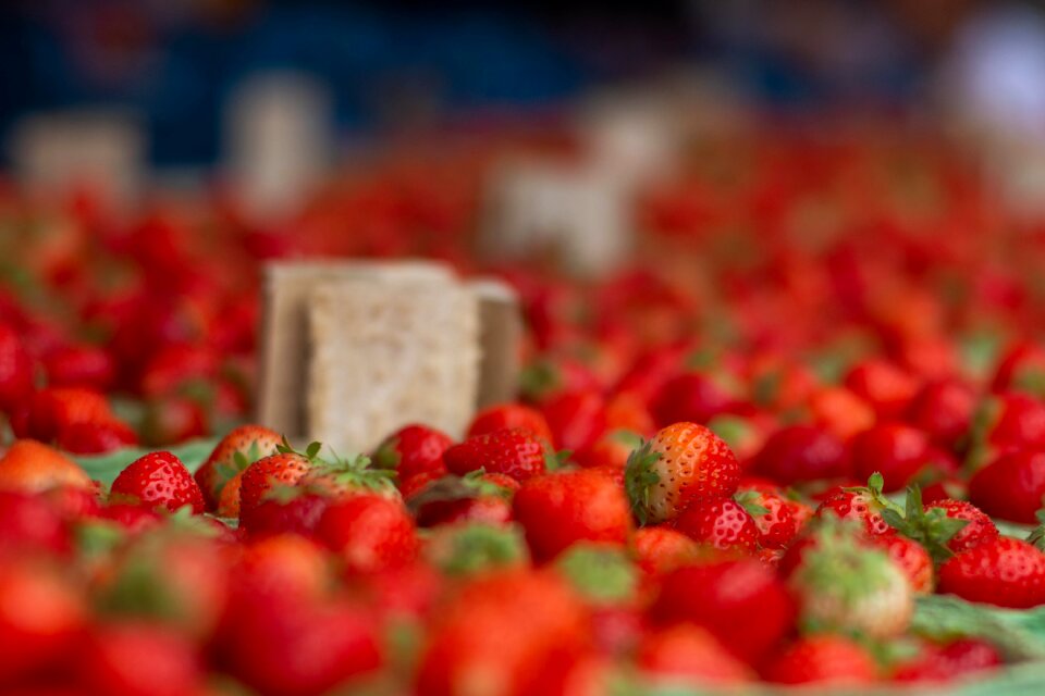 Nature fresh vitamins