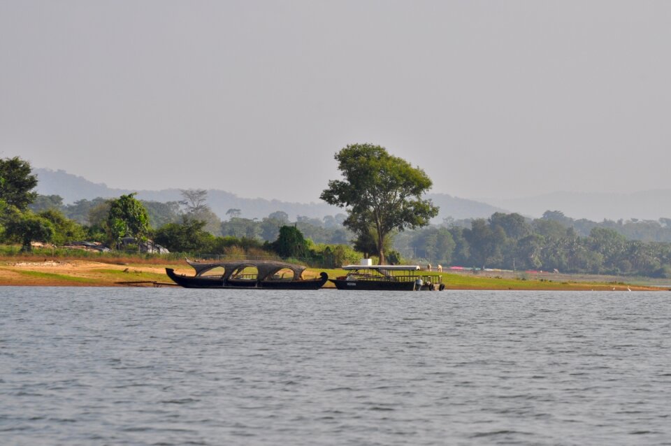 Landscape trees india