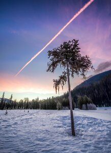 Dynamic hiking manning park