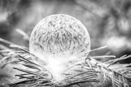 Winter eiskristalle cold