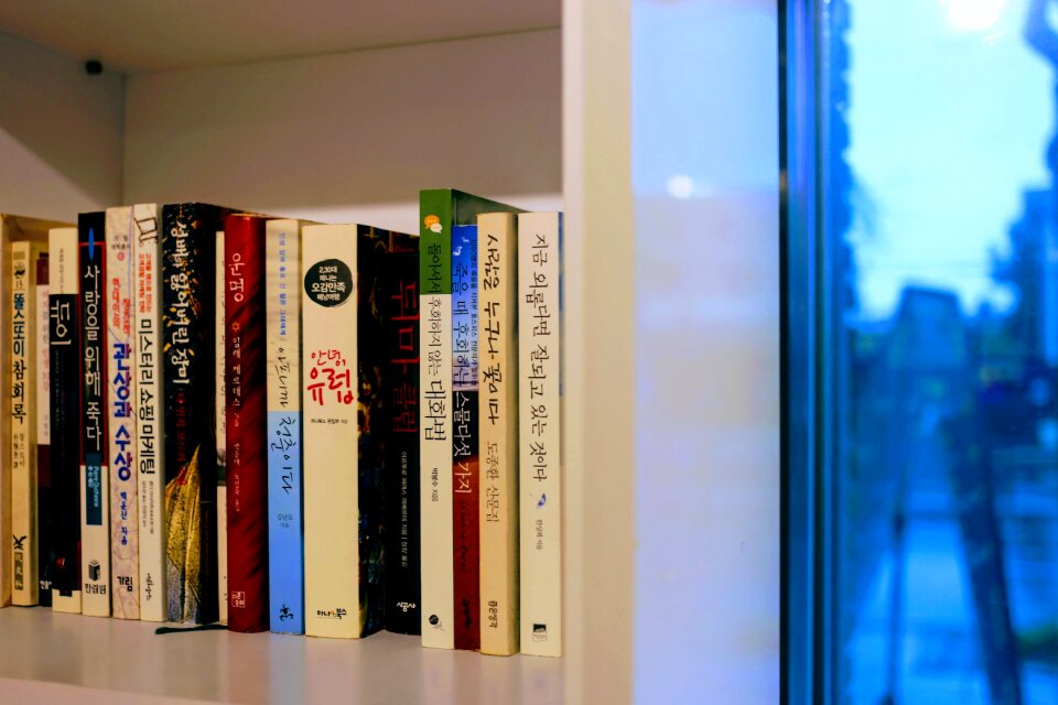 Bookcase literature brown education