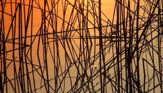 Sunrise water mirroring