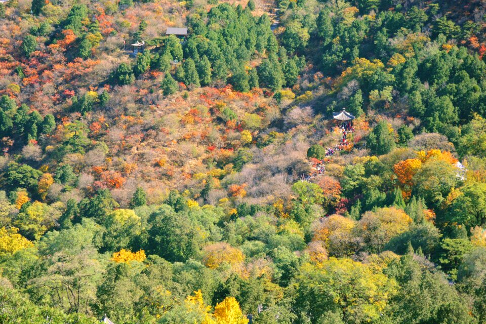 Park hill overlooking