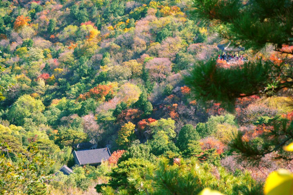 Park hill overlooking