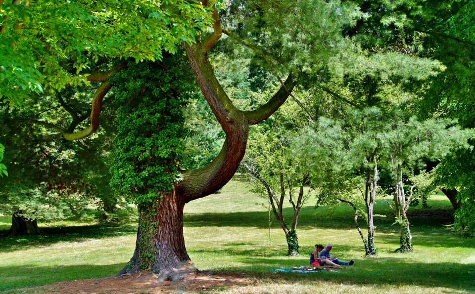 People on the blanket sitting peace