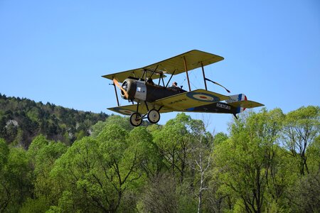 The war antique the plane