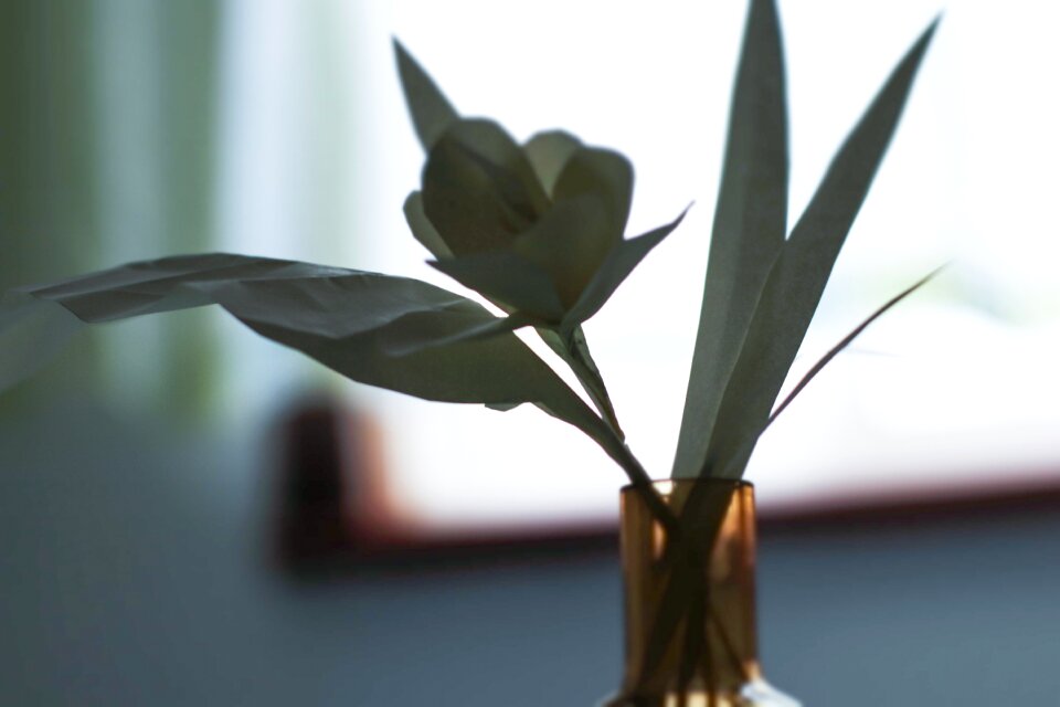 Flower paper creative