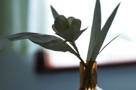 Flower paper creative