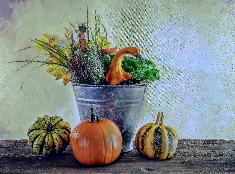 Decoration thanksgiving pumpkin