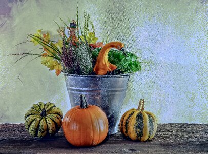 Decoration thanksgiving pumpkin
