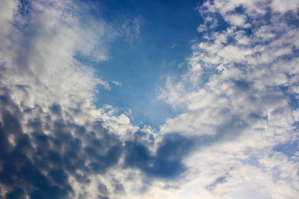 Sunlight freedom blue