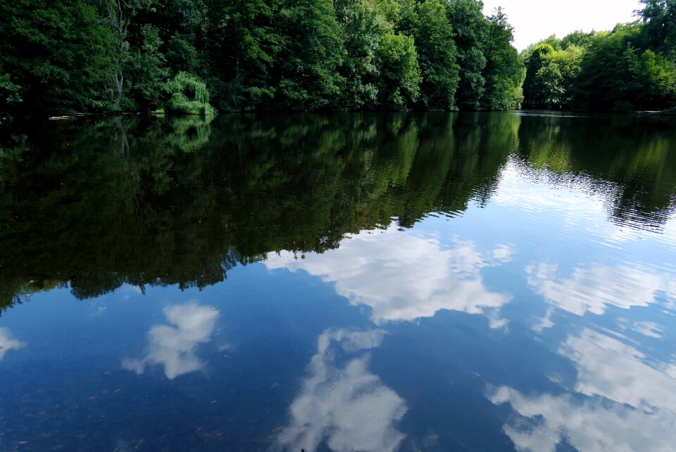 Reflection nature mood