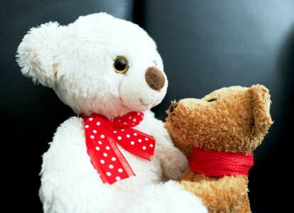 Teddy bear cute toys photo