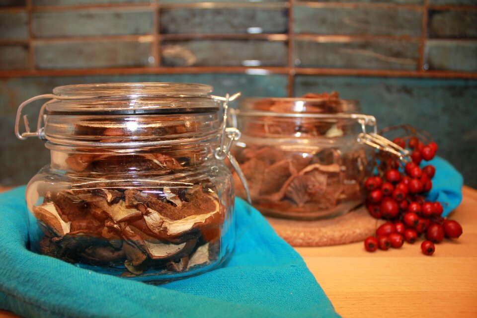 Mushrooms dry the collection of