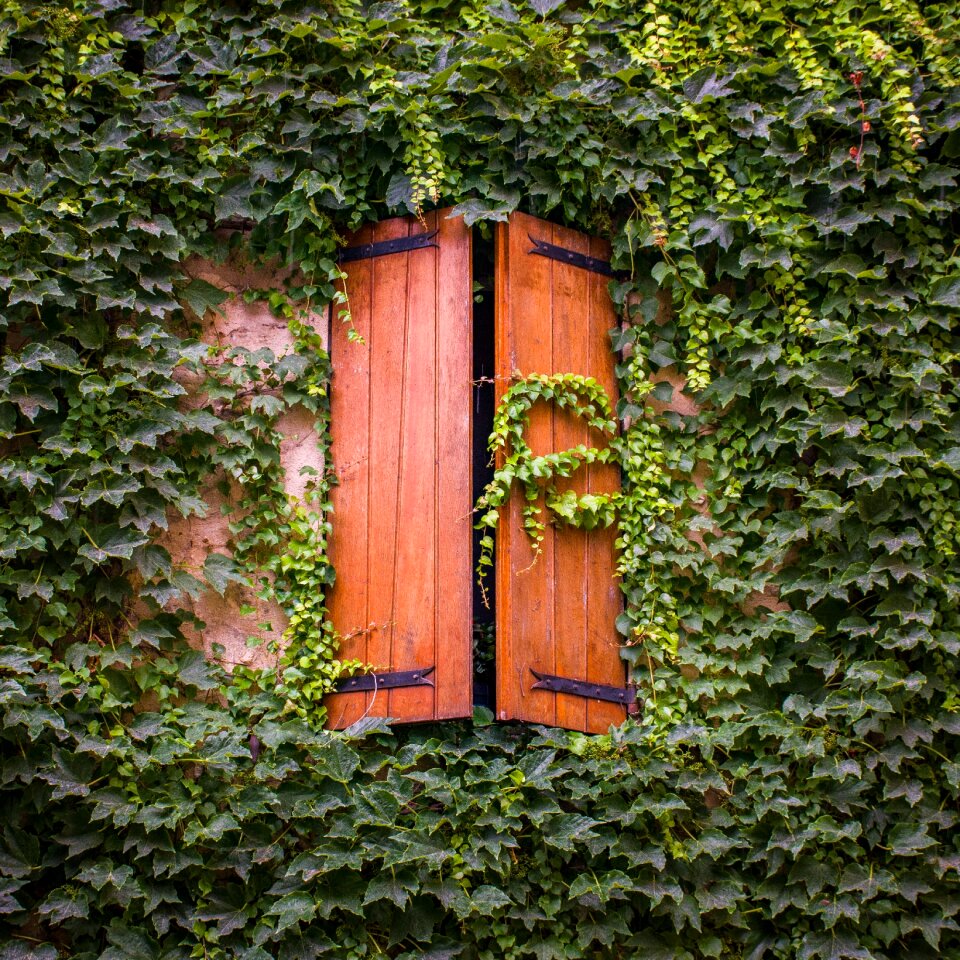 Wooden shutters window provencal
