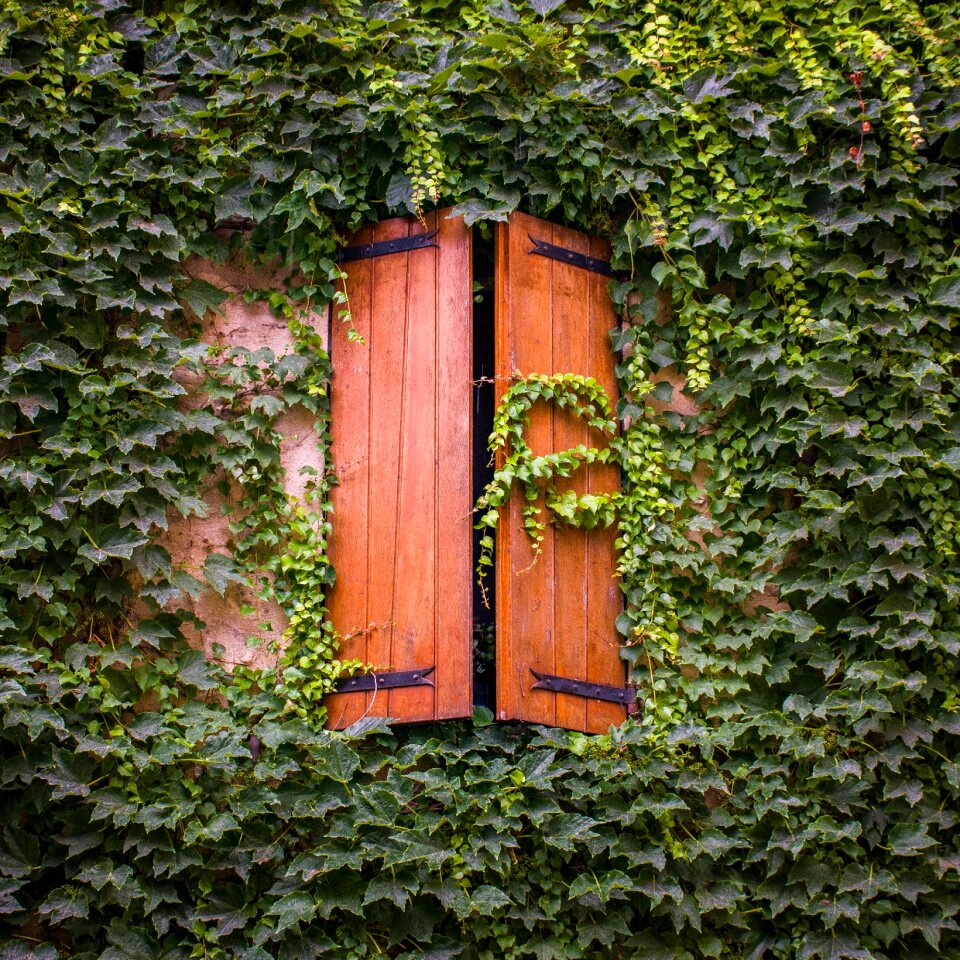 Wooden shutters window provencal photo