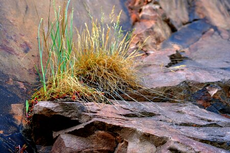 Hiking mountains landscape photo