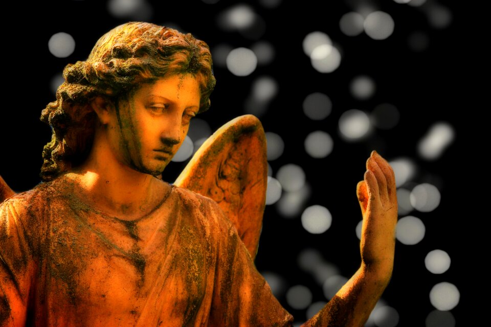 Christmas angel wing christmas greeting