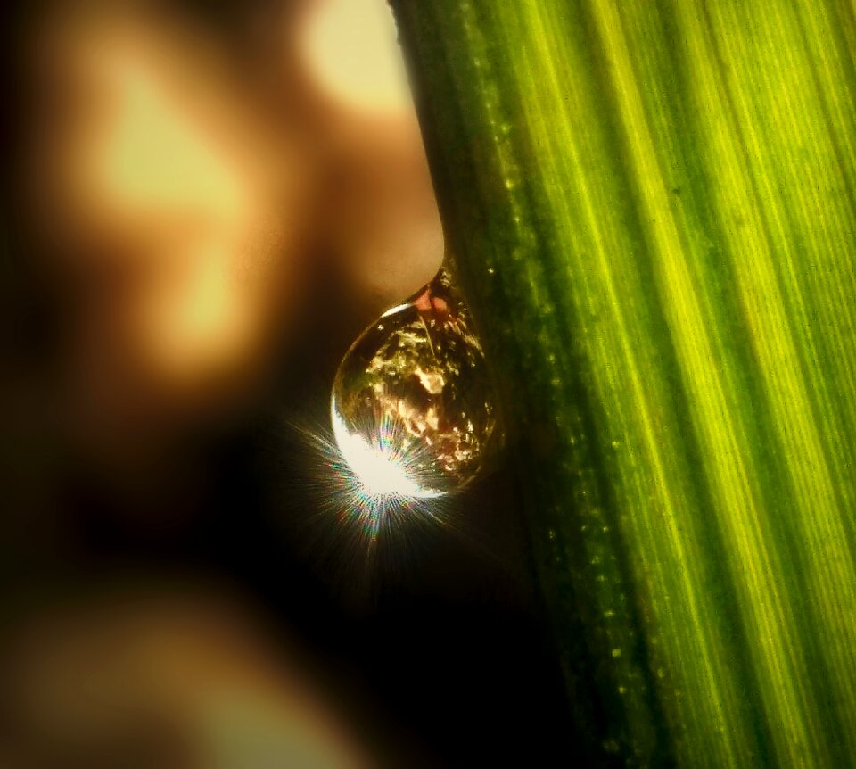 Photography water drops click