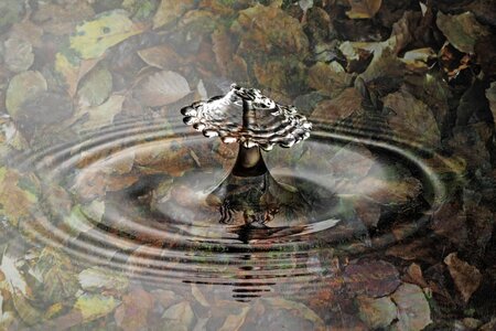 Liquid wet collide