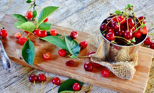 Red fruits fruit tree