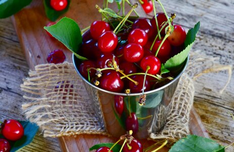 Red fruits fruit tree