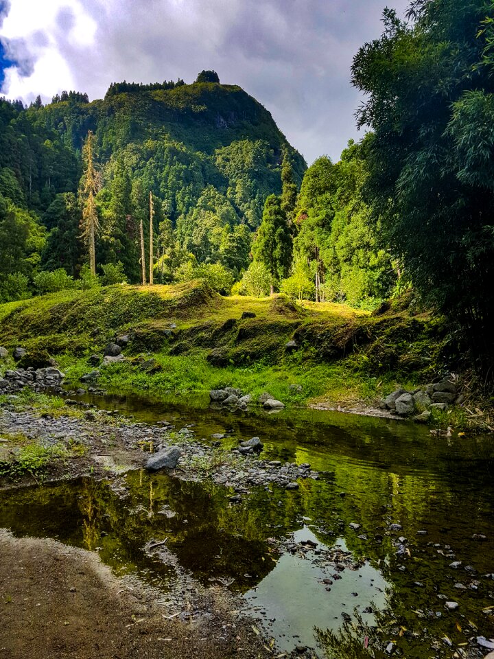 Nature paradise summer