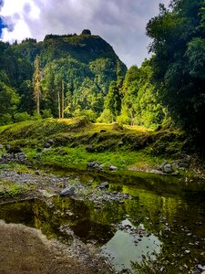 Nature paradise summer