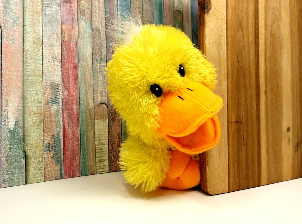 Soft toy cute children