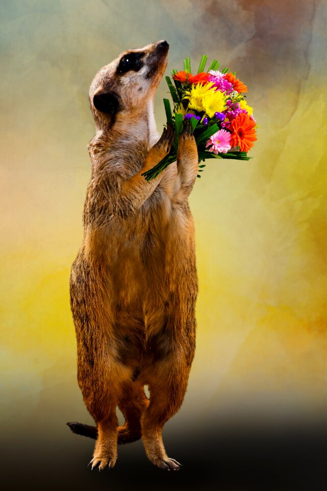 Thank you love flowers
