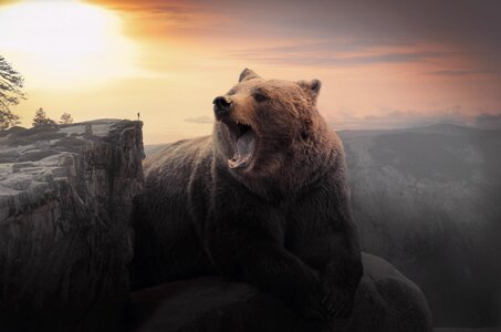 Fantasy roar brown bear