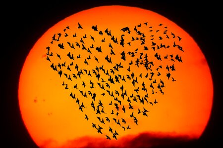 Symbol romantic sun