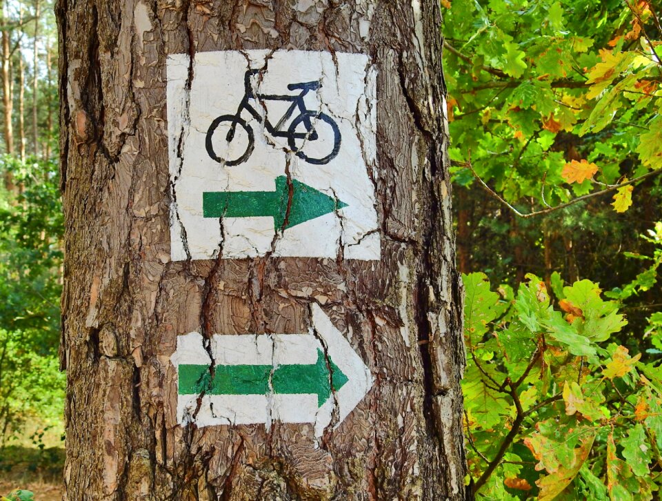 Cycle route tourism the path