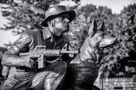 Tribute war canine
